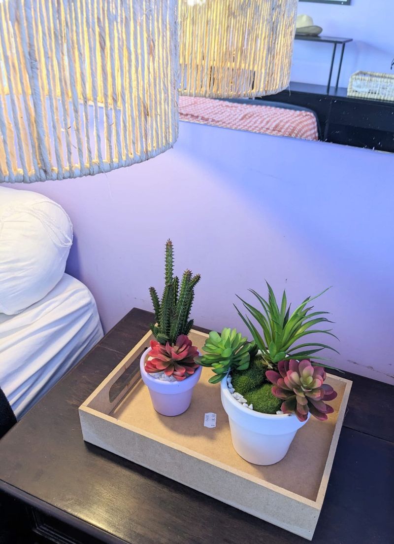 A bedside tray with succulents