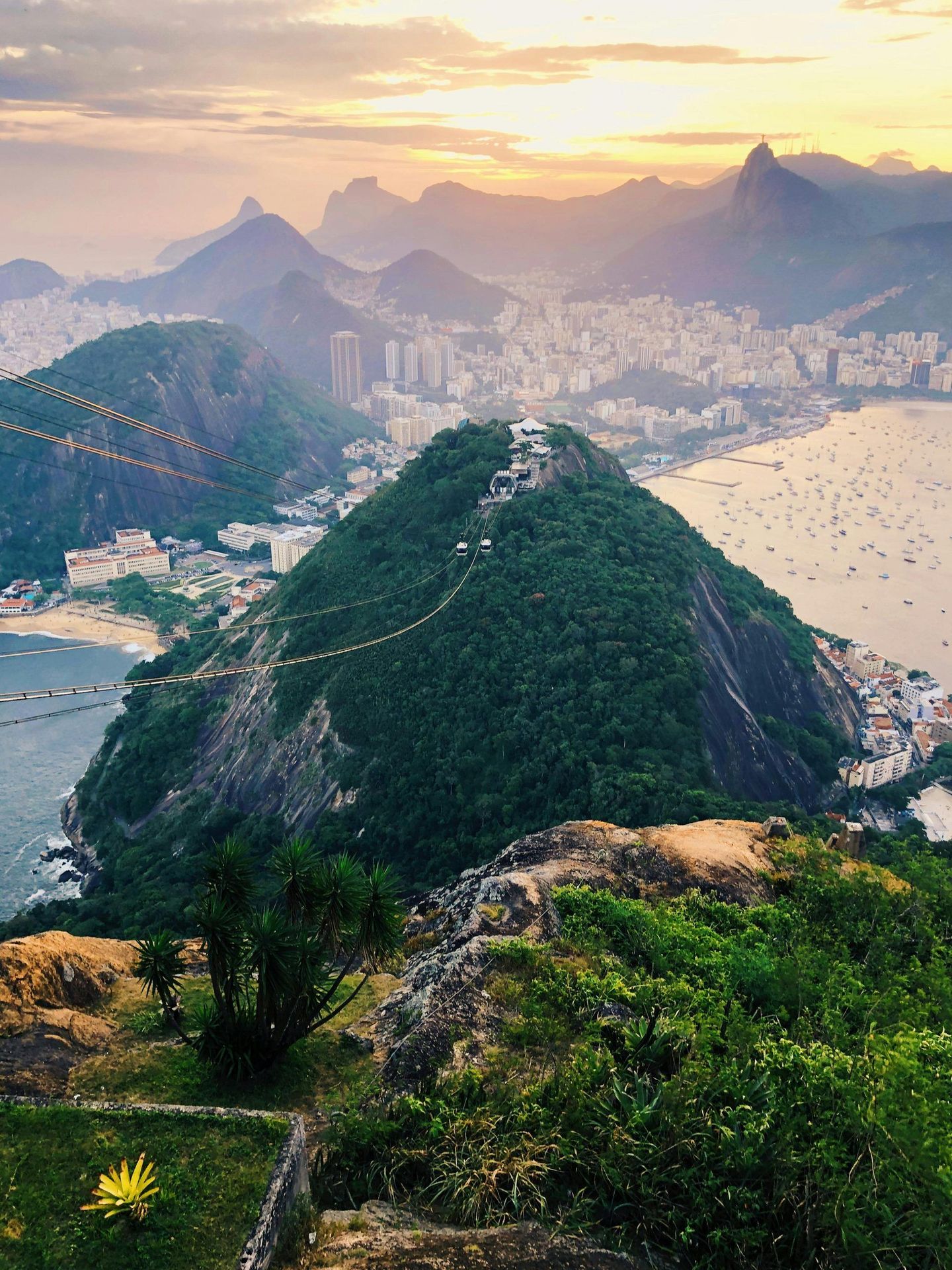 Vidigal oder Santa Teresa — Welcher Bohème-Hügel passt zu Ihnen?