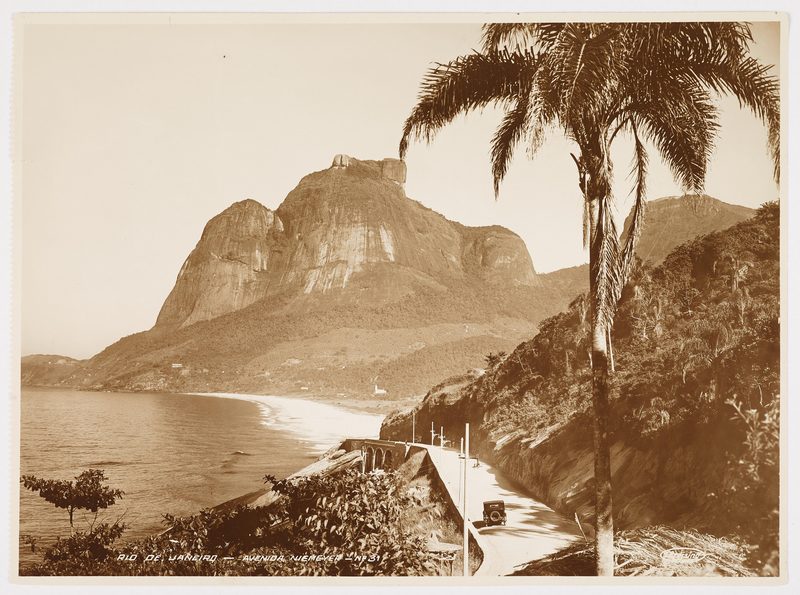 Avenida Niemeyer and Pedra da Gávea behind a palm tree